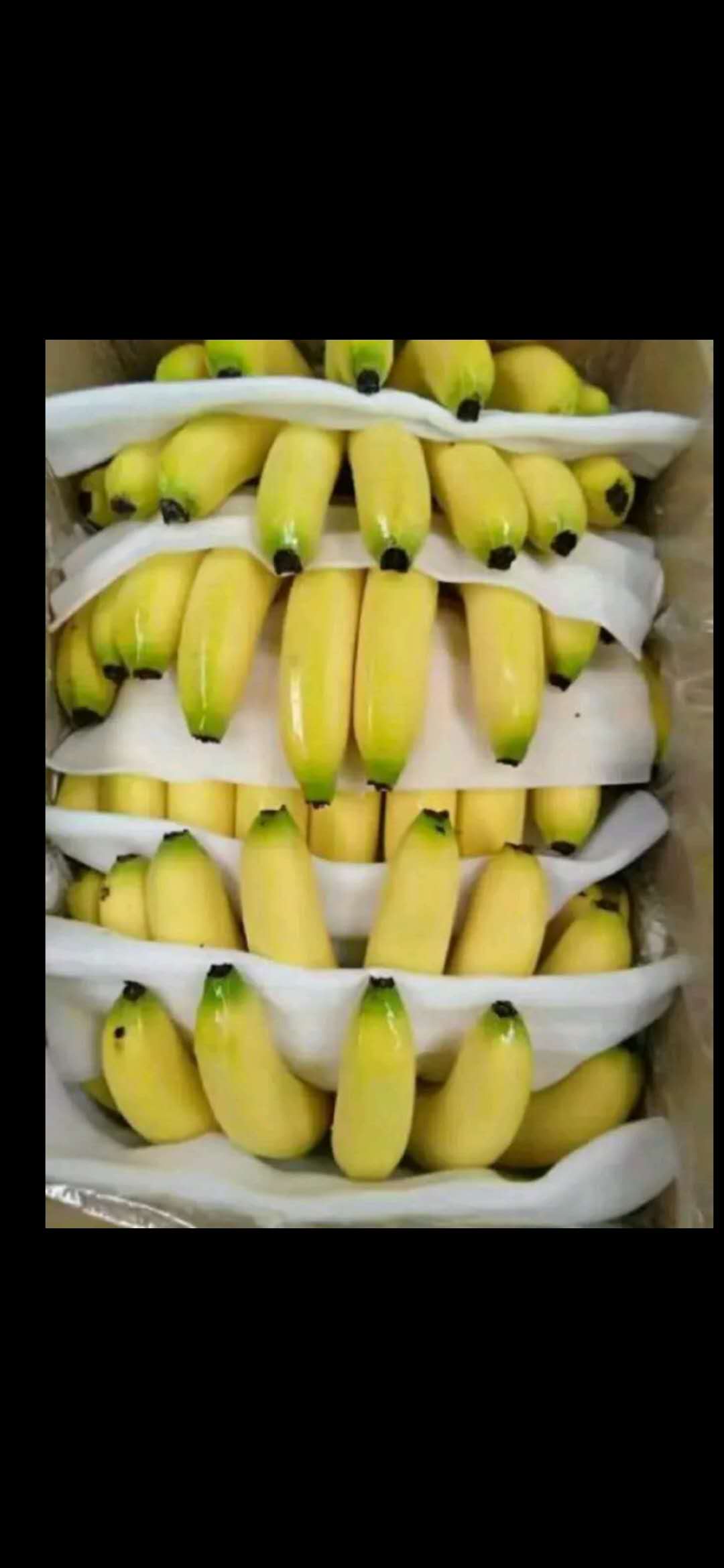优质香蕉