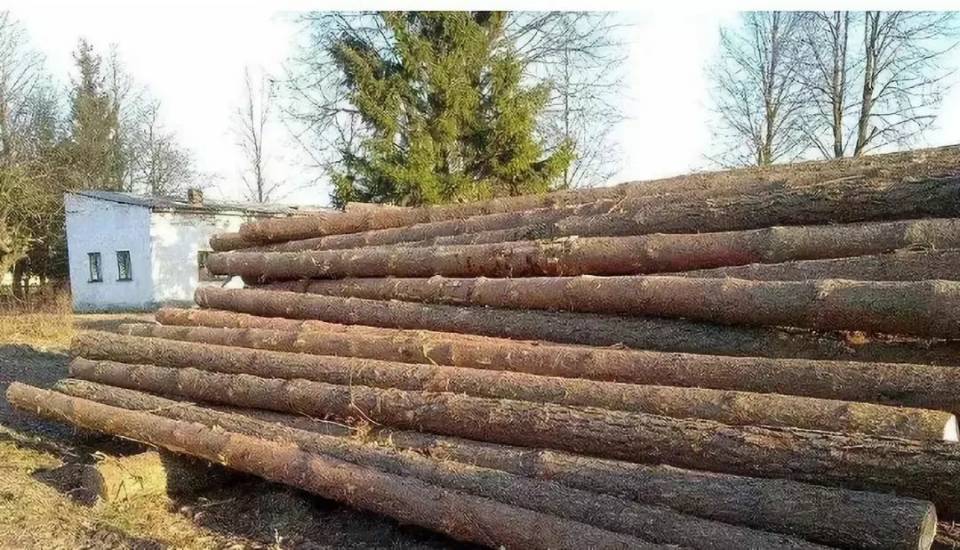 木材53吨从曲靖发到曲靖会泽
